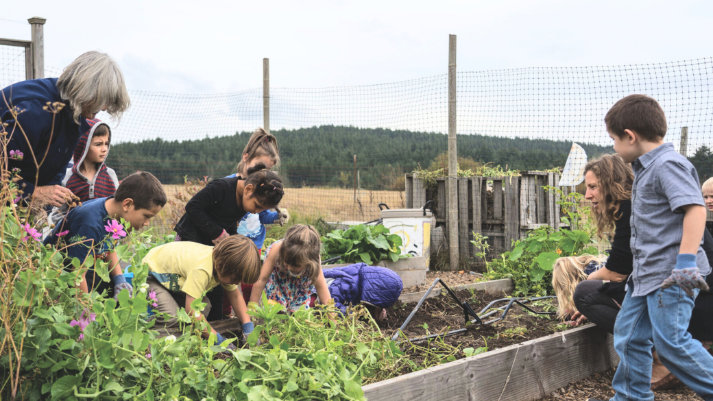 Children and adults work together in a school garden.