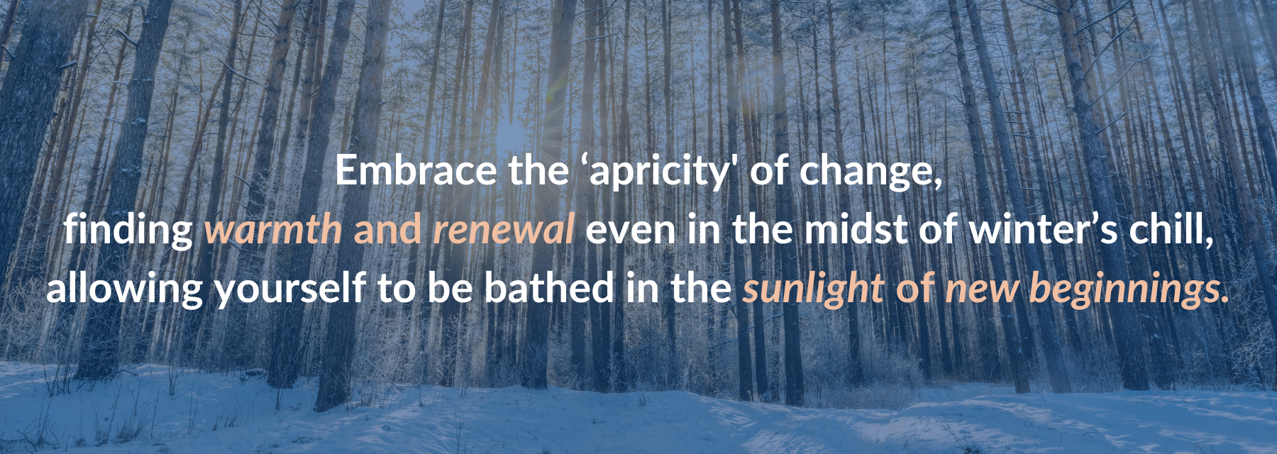 A winter forest with sunlight filtering through trees, overlaid with an inspirational quote about change and renewal.