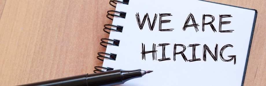 hiring-L3 hiring image