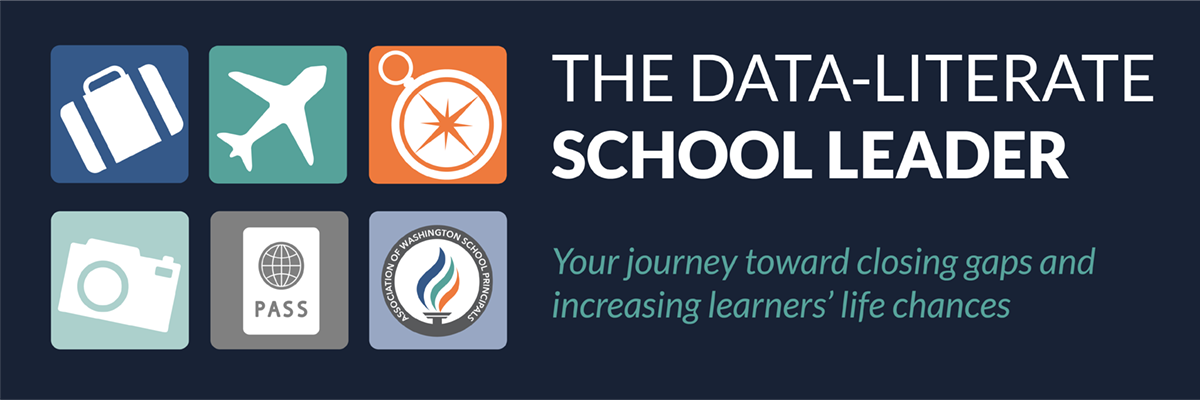 data_literate_school_leader_website_header_graphic