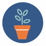 Image of a plant in a pot to represent AWSP