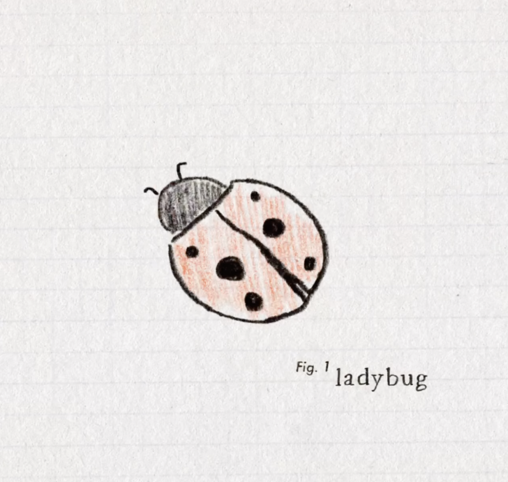 Summer Conference Keynote Highlight: Brad Montague screenshot 2026 03 02 at 1.27.16 pm