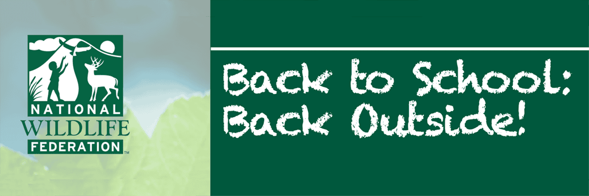 Back Outside Blog Post