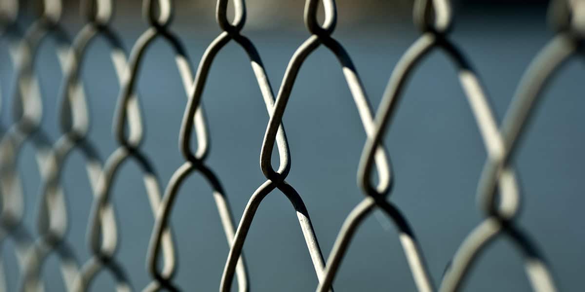 Feeling the Impact: The Toll of Immigration in Schools immigration_blog_graphic