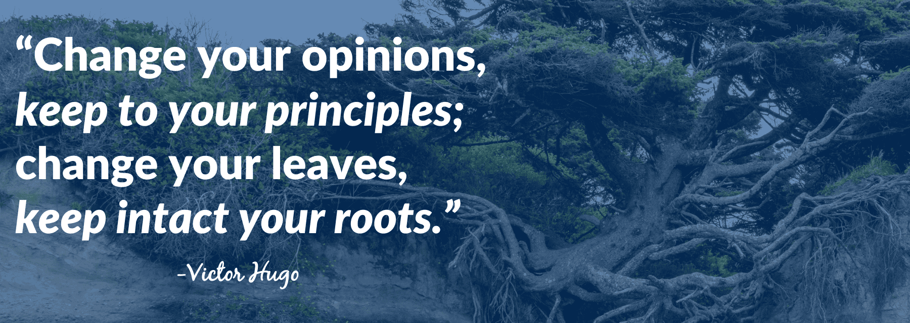 Quote by Victor Hugo over an image of a tree with exposed roots on a cliffside.