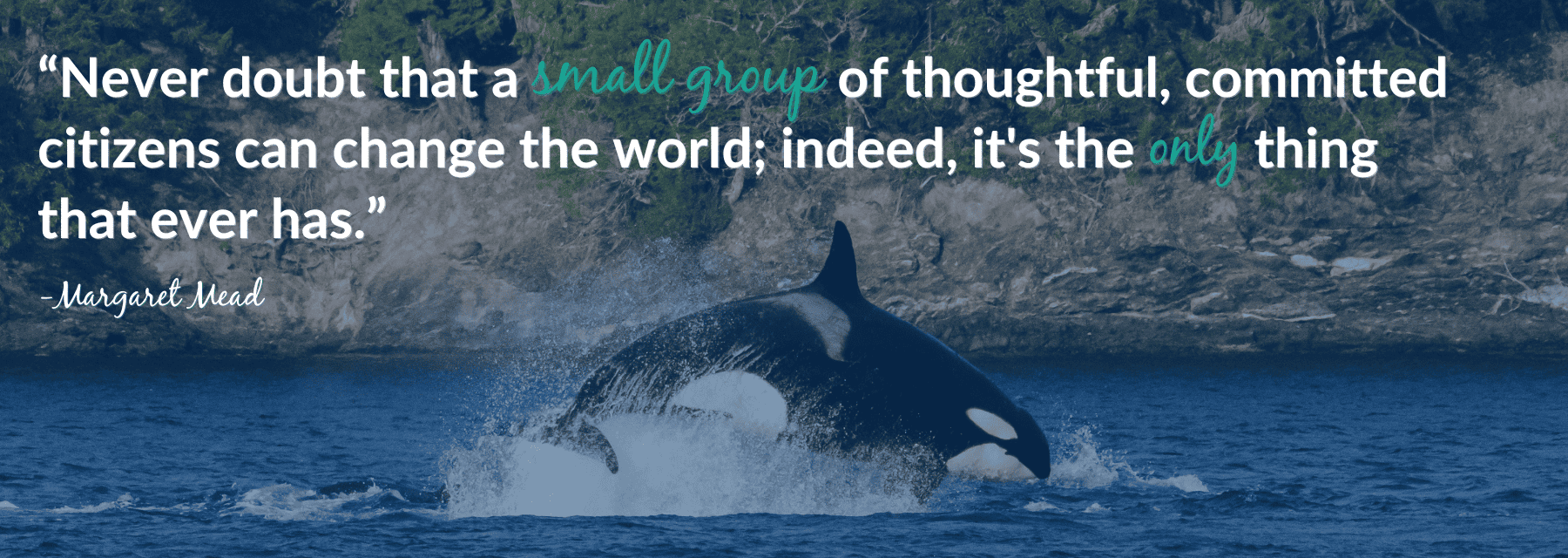 Legislative Update 1.24.25