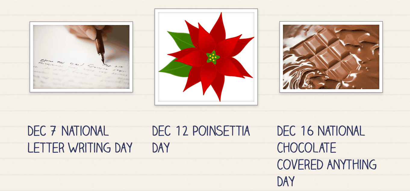 School Celebration Newsletter | December 2022 Edition