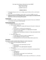 Wspef Board Minutes January 2024 2 Pdf 150x194